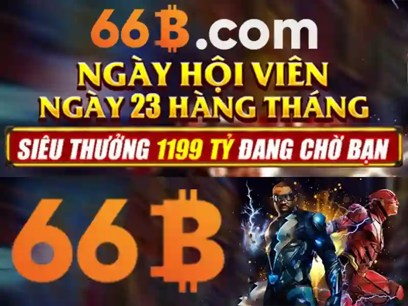 66B là gì và tại sao nổi bật