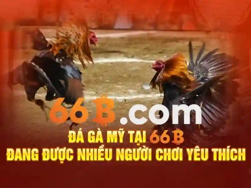 Nguồn gốc của 66b