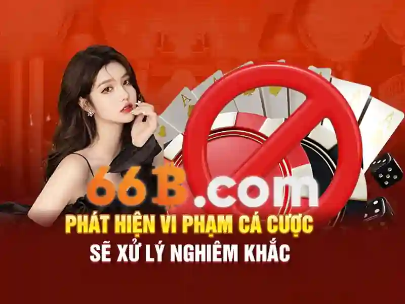Giao dịch 66b: Nền tảng đổi mới và trải nghiệm vượt trội