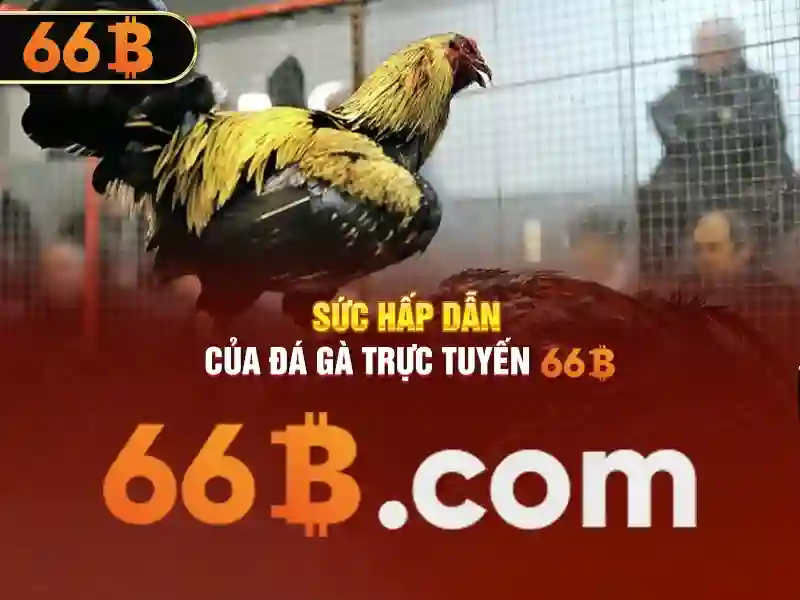 66b hạ long vũng tàu – tổng quan chủ đề và giá trị cốt lõi