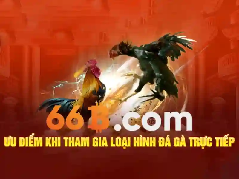 Về 66B: một cái nhìn tổng quan