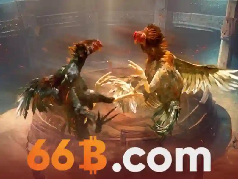 sources shein 66b may: Khởi nguồn, Ứng dụng và Định vị thương hiệu