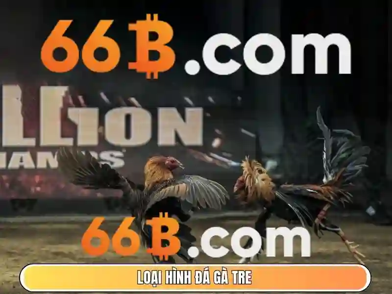 Trải nghiệm người dùng và phản hồi cộng đồng