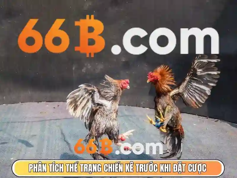 cd 66b rat – Chủ đề tổng quan và giá trị cốt lõi