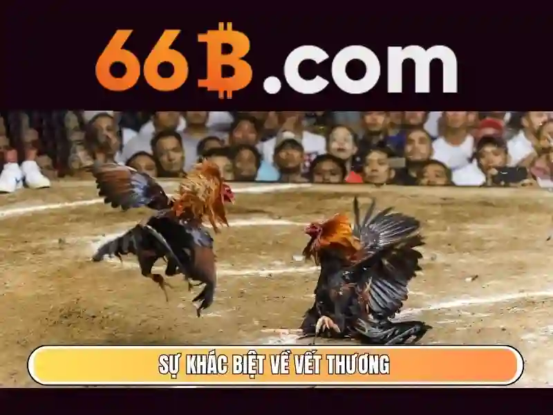 Sản phẩm và dịch vụ của cờ caro 66b trong thực tế