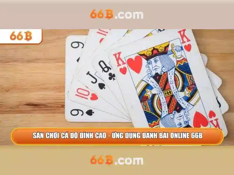 66b: một khái niệm số và văn hóa số