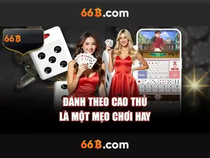 tous les jours 66b cmt8 – Tổng quan chủ đề và giá trị cốt lõi