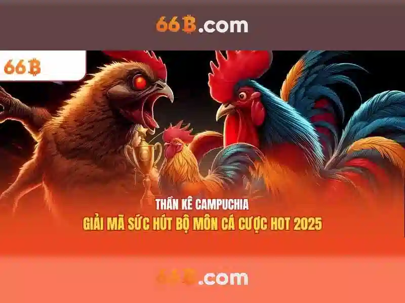 66b nhà cái – chủ đề tổng quan và giá trị cốt lõi