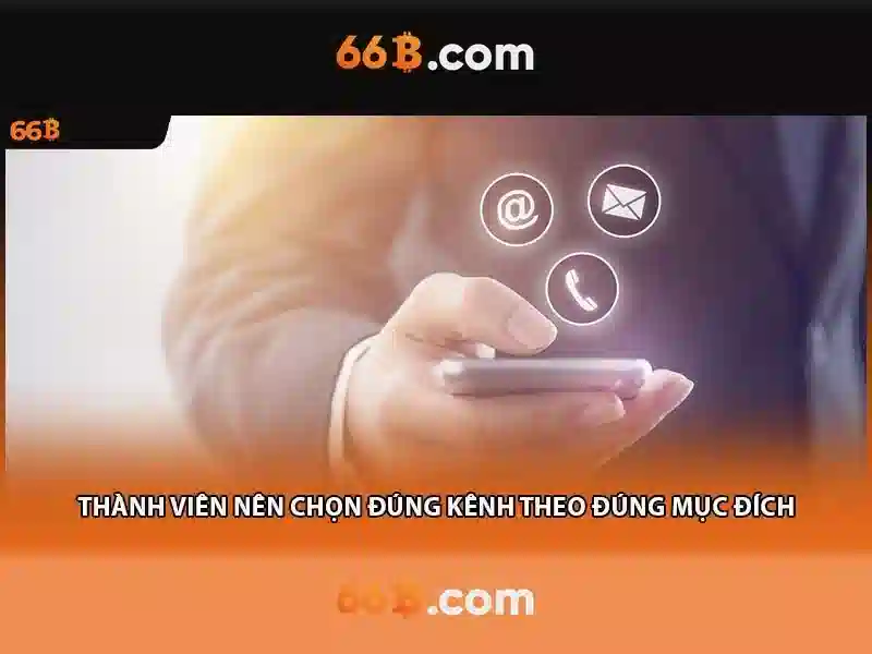 liên hệ 66b: hành trình kết nối và trải nghiệm đỉnh cao