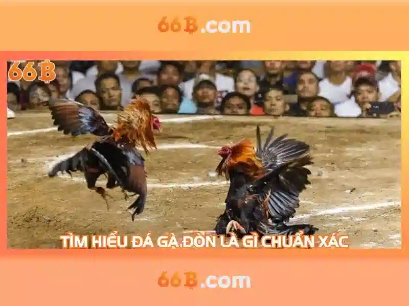 66b nguyễn sý sách: hành trình và cộng đồng 66b club