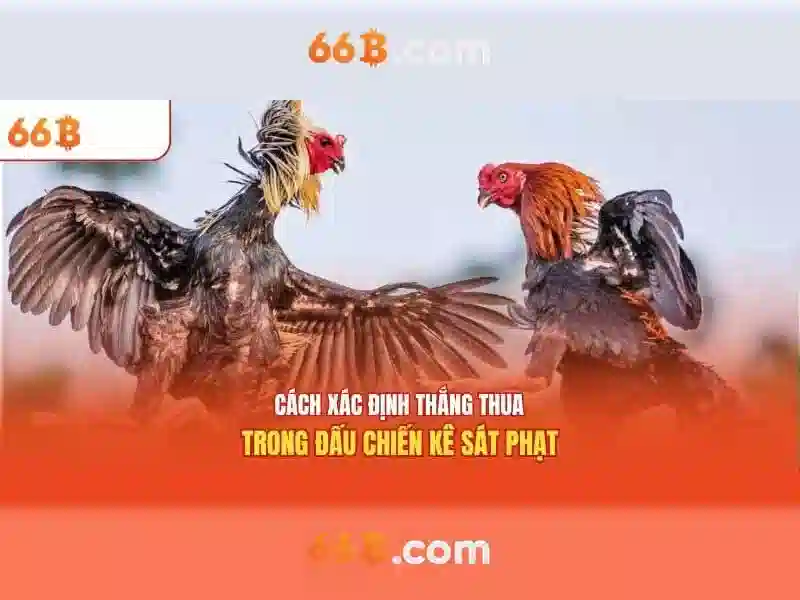 Hạn chế và thách thức
