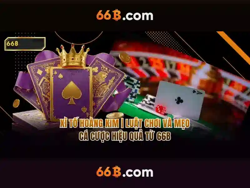 66B: Phân tích và Ứng dụng