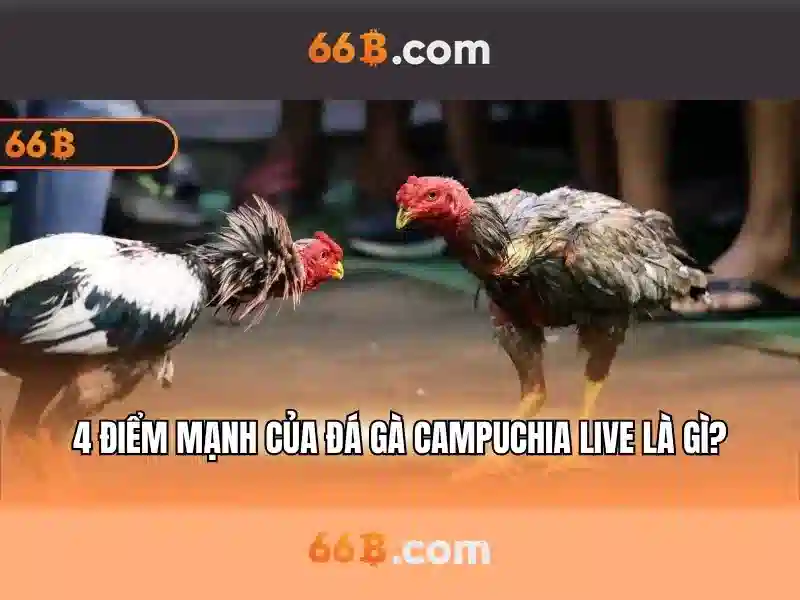 66b: Định nghĩa, nguồn gốc và ứng dụng