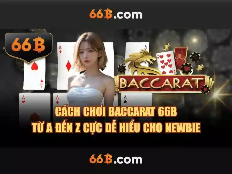66B là gì và tại sao nó quan trọng