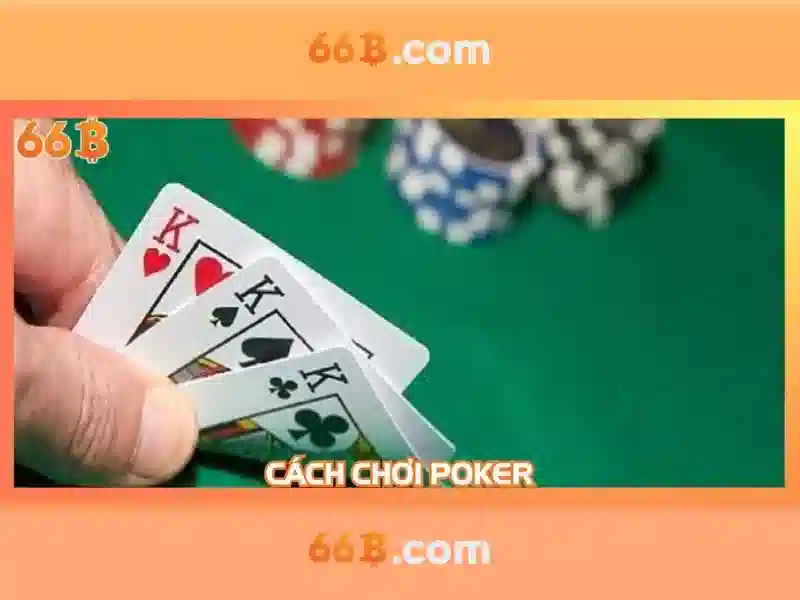 66B: Bí ẩn và ứng dụng của mã số 66B