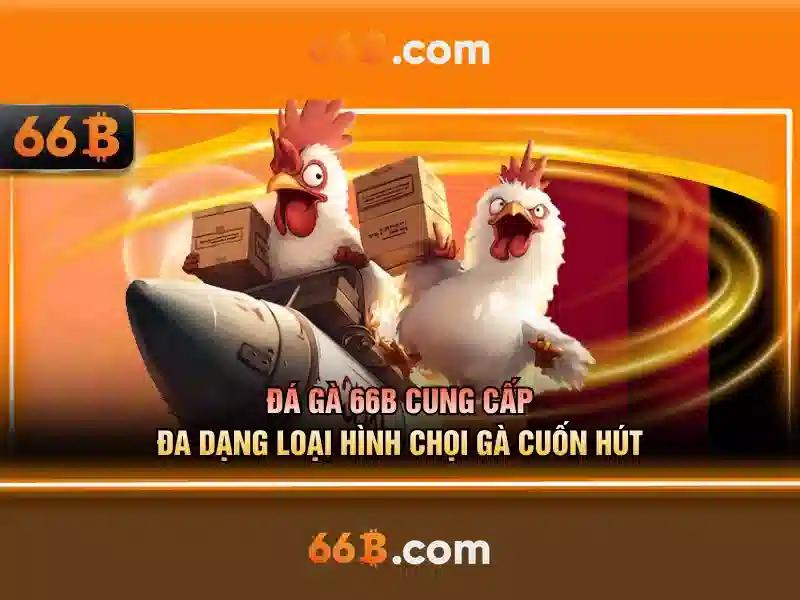 66b: một khái niệm và các ứng dụng