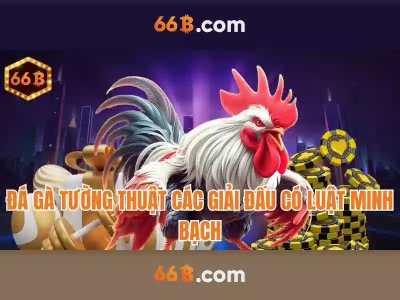 66b: một khái niệm trong công nghệ và văn hóa