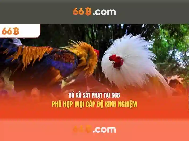 Kiến trúc và tham số