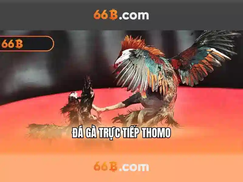 Khung kiến trúc của 66b\n\n<h>Ứng dụng và ví dụ thực tế</h>\n<li style=