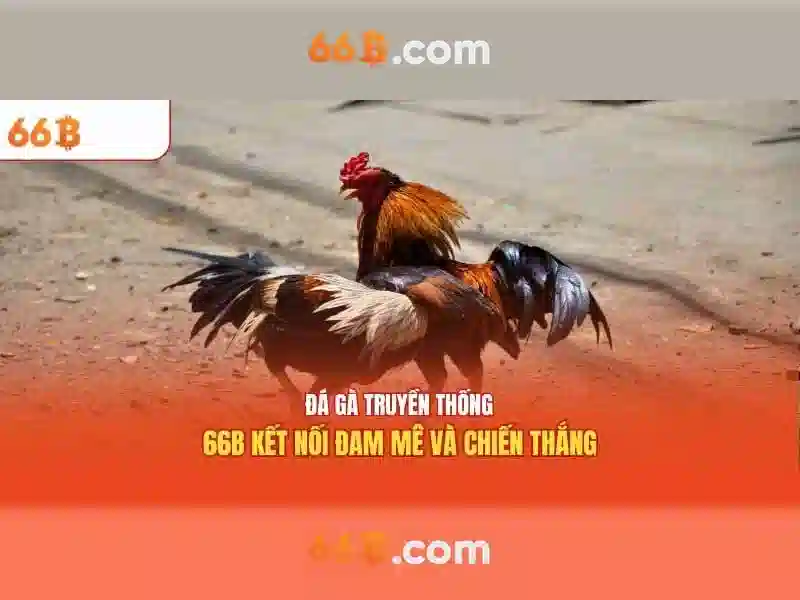 66b: Khái niệm, ứng dụng và ý nghĩa
