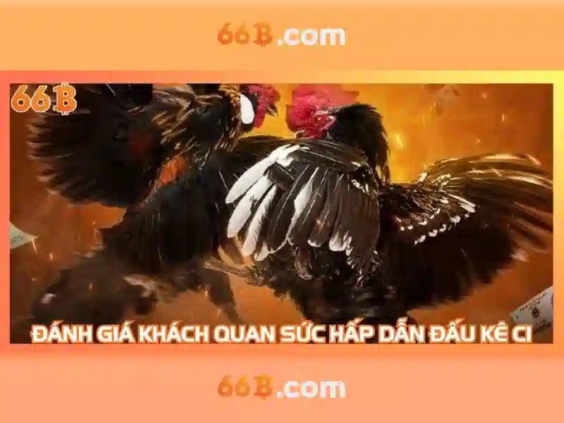 66b: khái niệm và triển vọng trong công nghệ