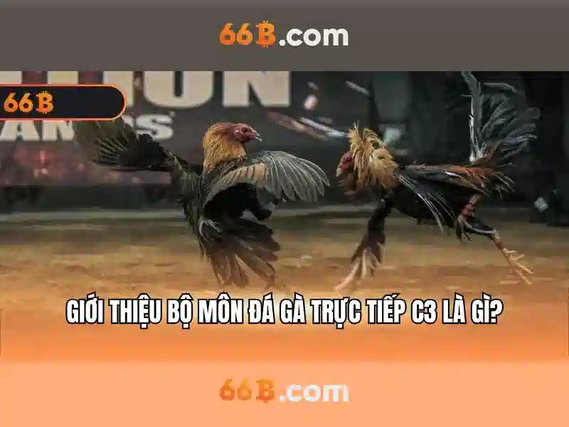 66b vip: Trải nghiệm đẳng cấp và chiến lược thương hiệu