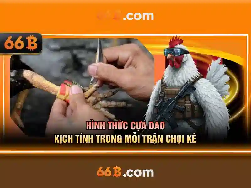 66b nguyễn sí sách – Định vị thương hiệu và trải nghiệm người dùng