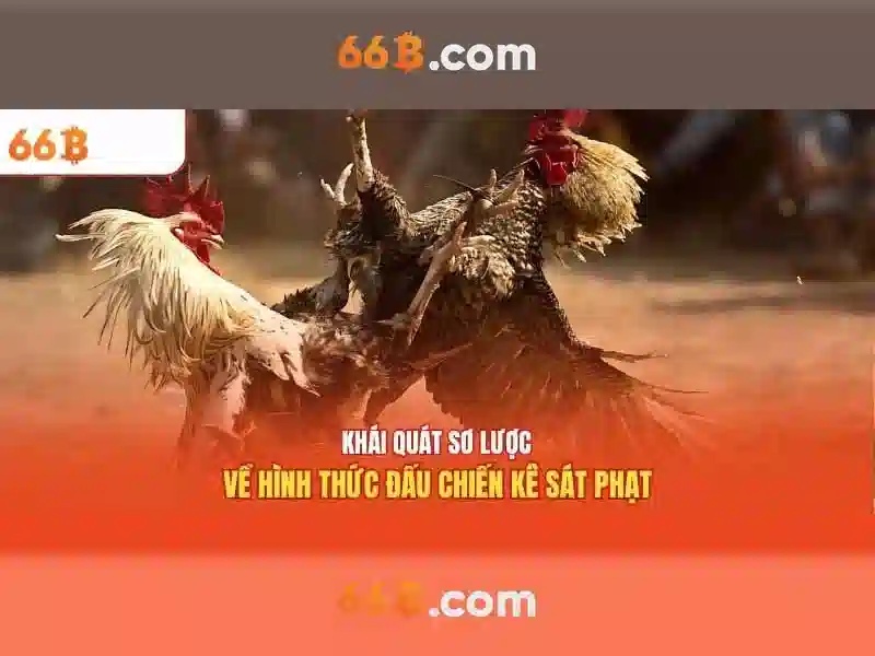66b là gì và tại sao nó quan trọng