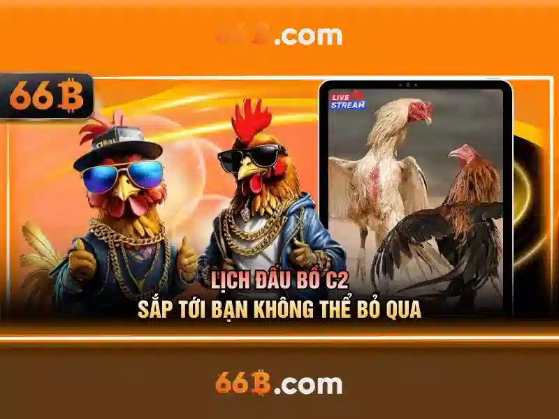 Đào tạo và dữ liệu