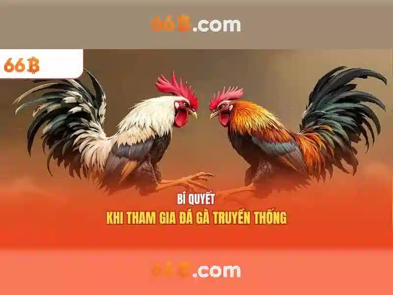 66b: một ký hiệu và những câu chuyện đằng sau nó