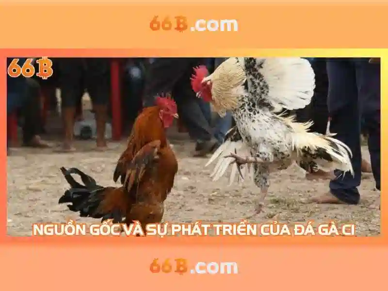 66b: khái niệm và ảnh hưởng trong công nghệ và văn hóa