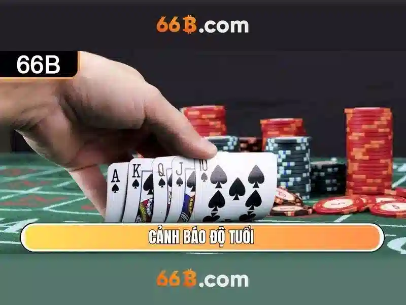 k9 66b – Trải nghiệm đột phá cho doanh nghiệp và người dùng