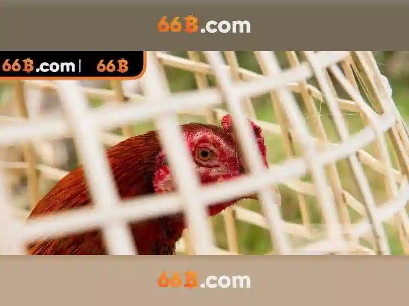 Cấu trúc và tham số của 66B