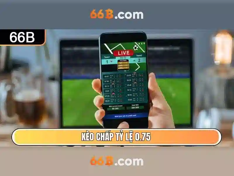 'Cấu trúc và kích thước'