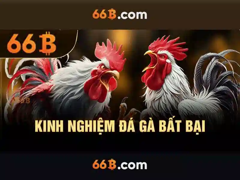 66B: Khai thác mô hình ngôn ngữ lớn với 66 tỷ tham số