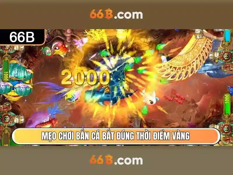 66b: một khái niệm bí ẩn trong khoa học và văn hóa
