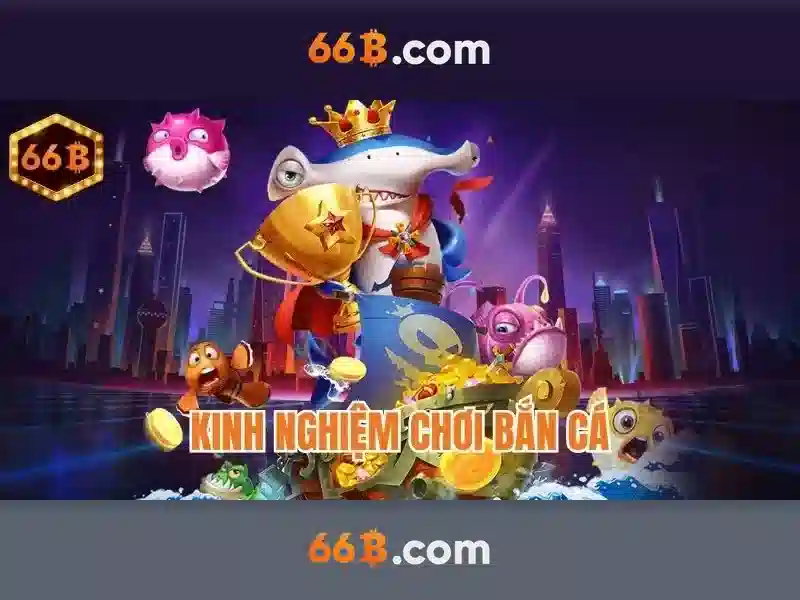 66b: một khái niệm công nghệ trong thế giới số