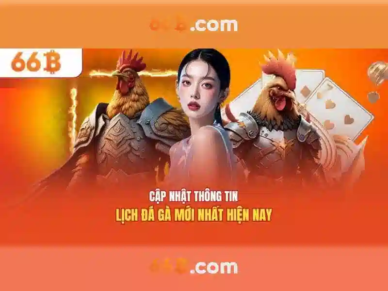 Ứng dụng chính