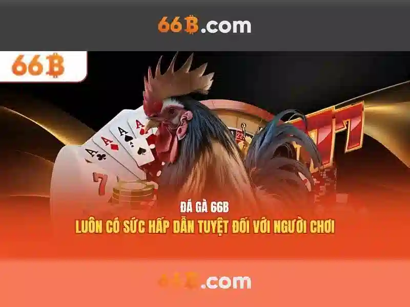 66B là gì