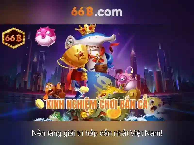 Cấu hình và hiệu năng