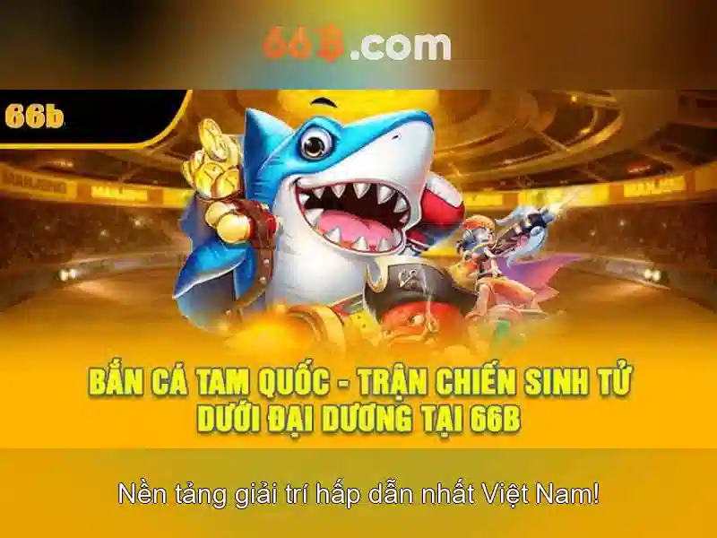 Khái niệm 66b