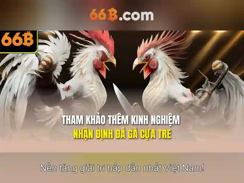 66B: Mô hình ngôn ngữ 66B và tác động của nó