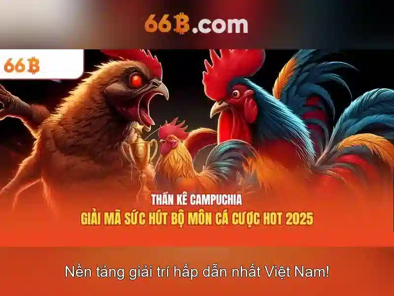 66b: khái niệm, ứng dụng và suy nghĩ