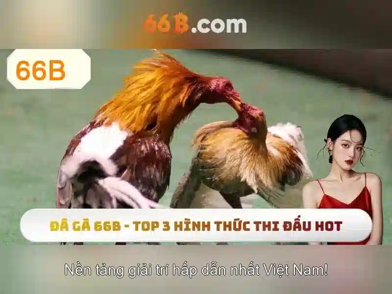 Khả năng tuỳ biến và ứng dụng
