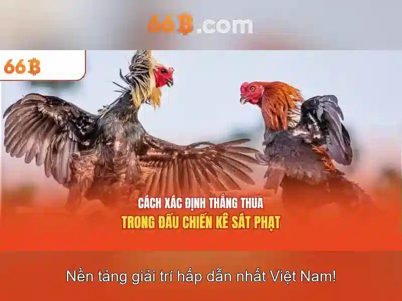 66b: Mô hình ngôn ngữ 66 tỷ tham số và tầm ảnh hưởng