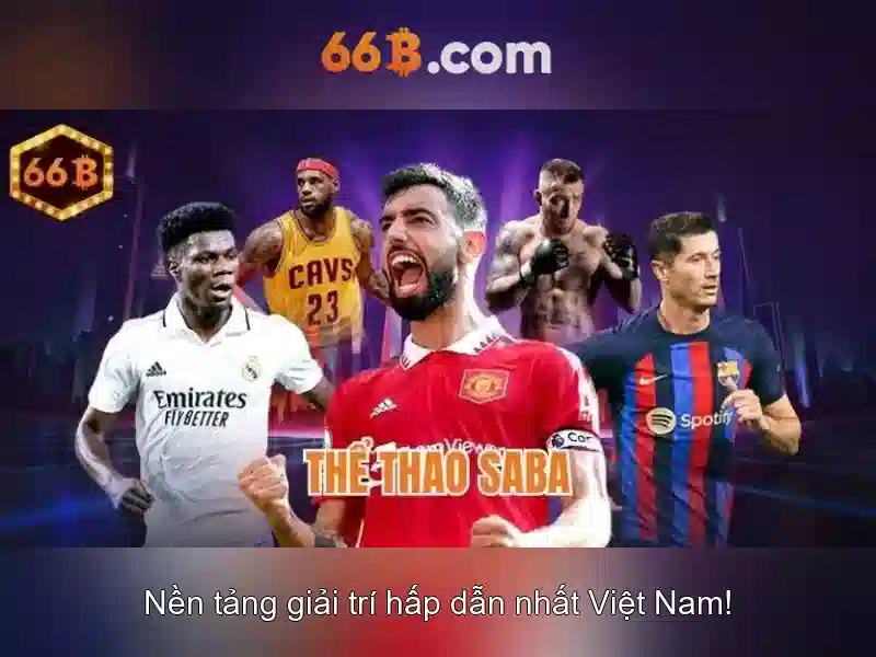 Kiến trúc và quy mô của 66B