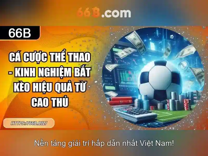 Ứng dụng thực tiễn của 66B