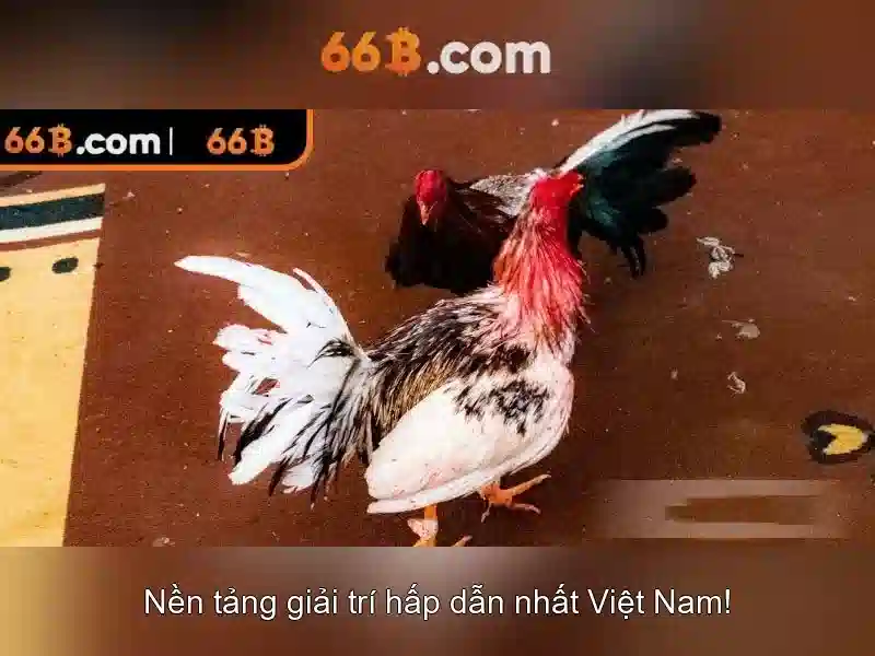 66b: Khái niệm và ứng dụng trong số liệu toàn cầu