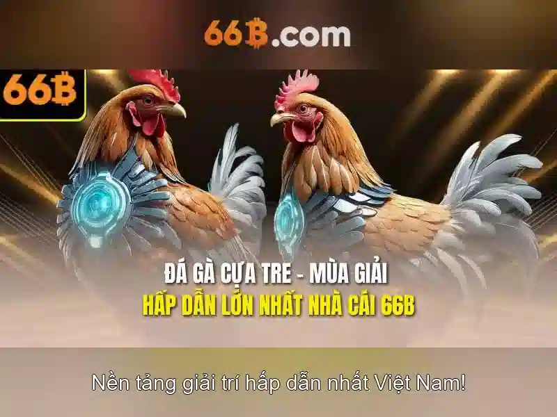 66b: Khái niệm và phạm vi