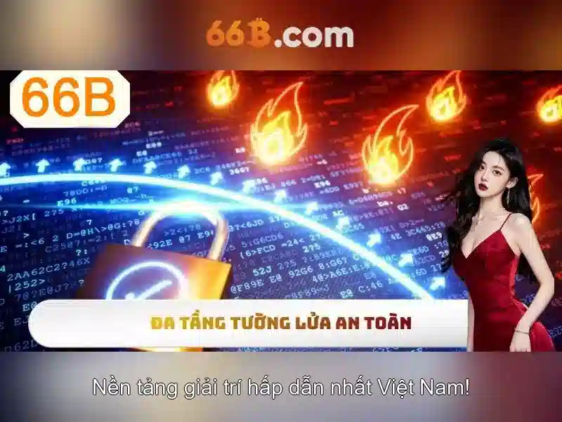 66b: Khái niệm và phạm vi